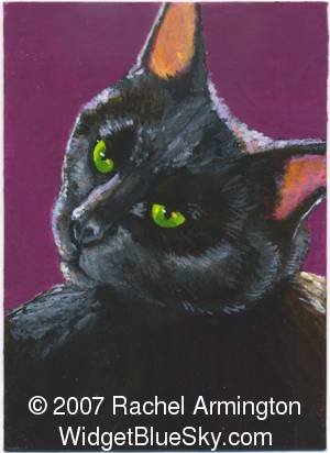 Cat paintings for sale and rent